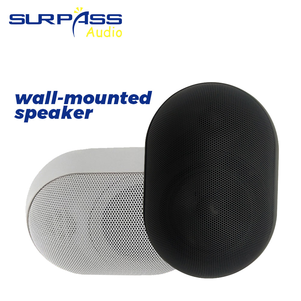 Wall Mount Speaker - 30 Вт настенный динамик водонепроницаемый IP55